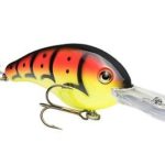 Picture of Strike King Pro Model Series 5 Crankbait