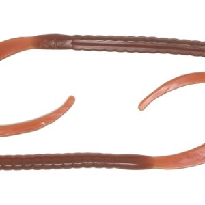 Picture of X Zone Blitz Worm